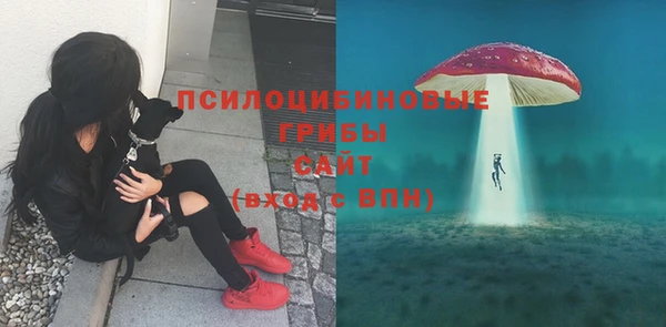 мет Абаза