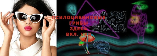 не бодяженный Алексин