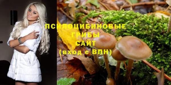 соль курить ск Алзамай
