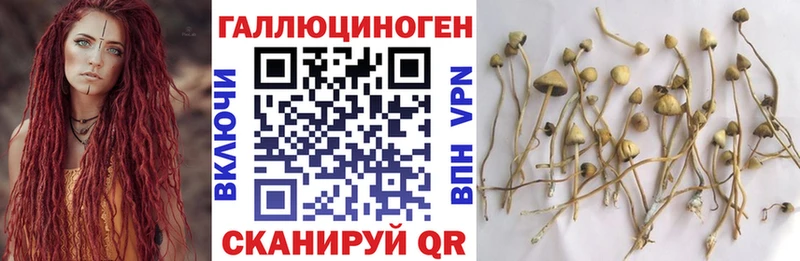 где найти наркотики OMG Псилоцибиновые грибы Magic Shrooms Северская